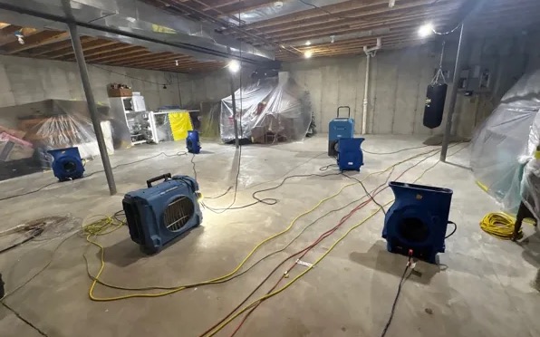Basement Mold Cleanup in Chattanooga, TN