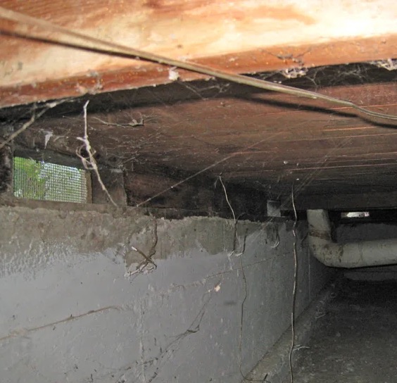 Crawlspace Mold Remediation in Chattanooga, TN