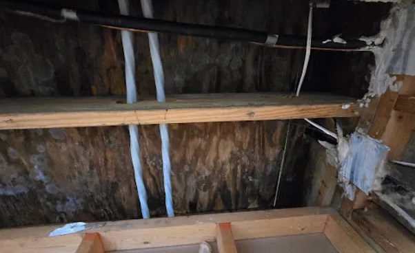 Attic Mold Removal in Chattanooga, TN